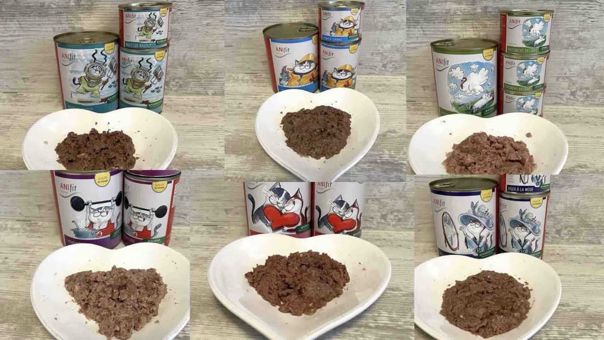 Sechs Anifit Katzenfutter Sorten mit Futter auf Tellern