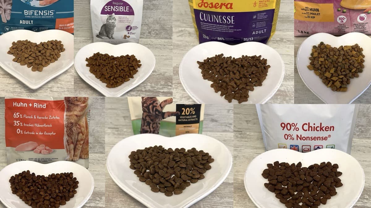 Verschiedene Katzen-Trockenfutter Marken im Vergleich auf herzförmigen Tellern