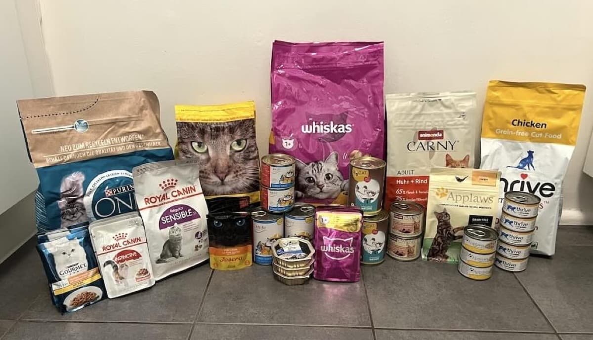 Verschiedene Katzenfutter-Marken im Vergleich nebeneinander aufgestellt