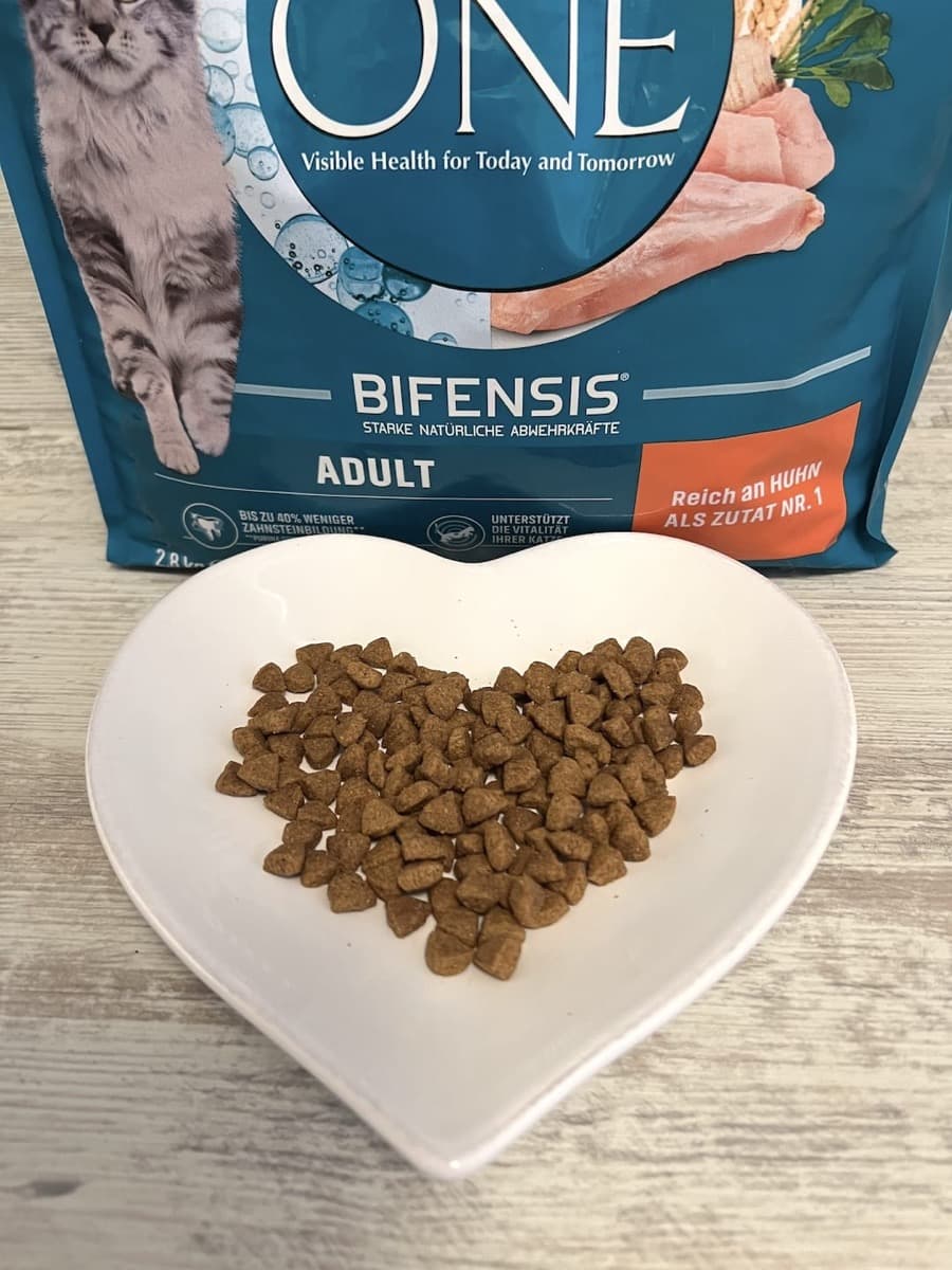 Purina ONE Bifensis Trockenfutter auf einem herzförmigen Teller