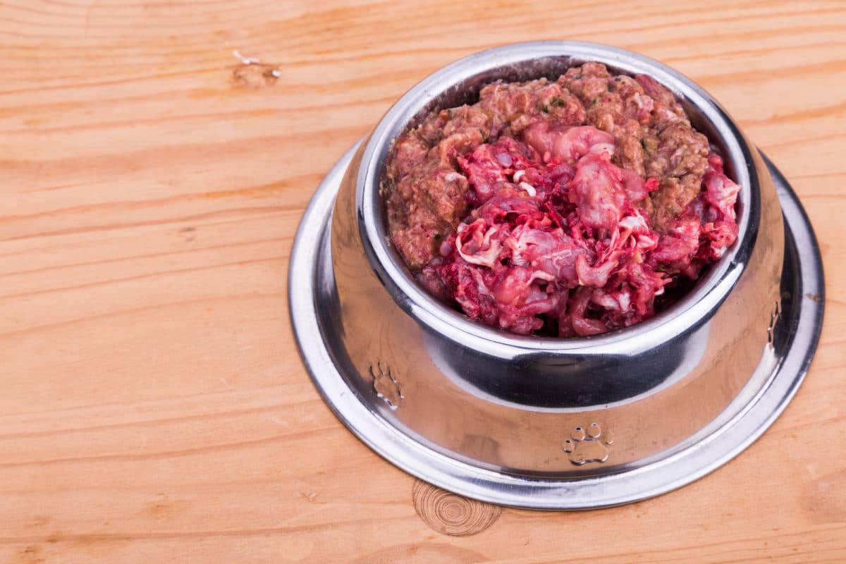 barf fleisch katze